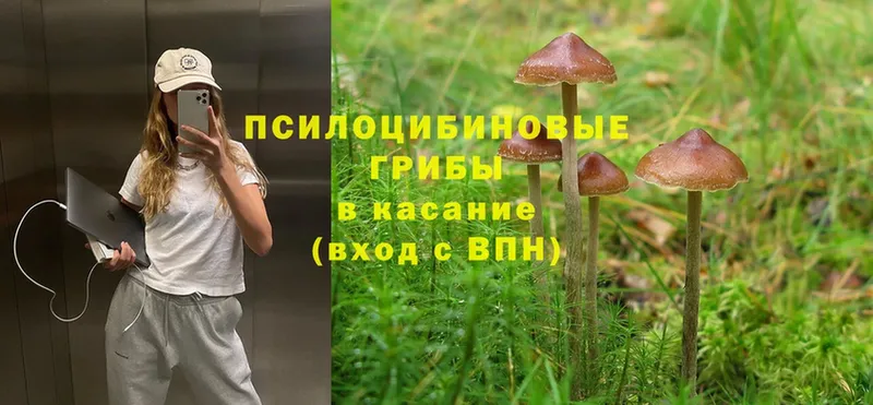 Псилоцибиновые грибы Psilocybe  ОМГ ОМГ зеркало  Нерюнгри 